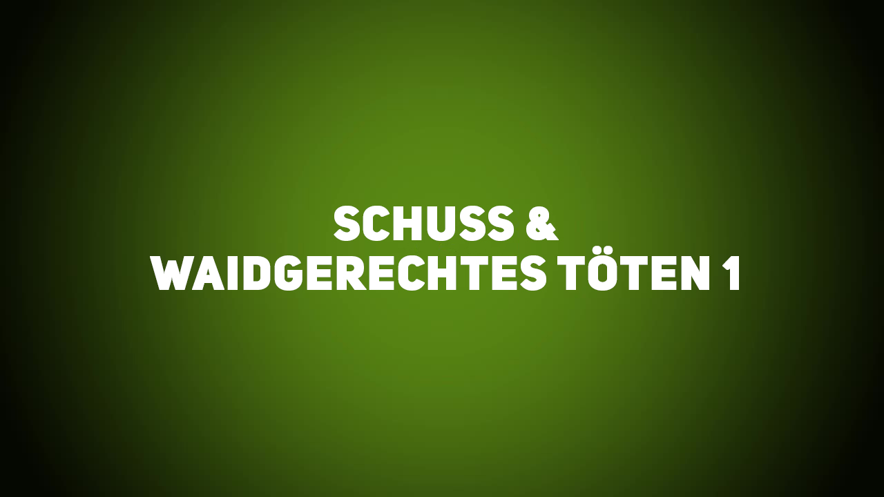 Jagdliche Praxis – Schuss & Waidgerechtes Töten 1