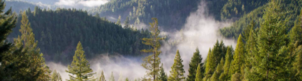Back to Hunt - Naturschutz und Ökologie