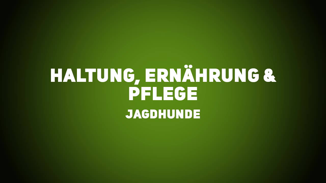 Jagdhunde – Haltung, Ernährung & Pflege