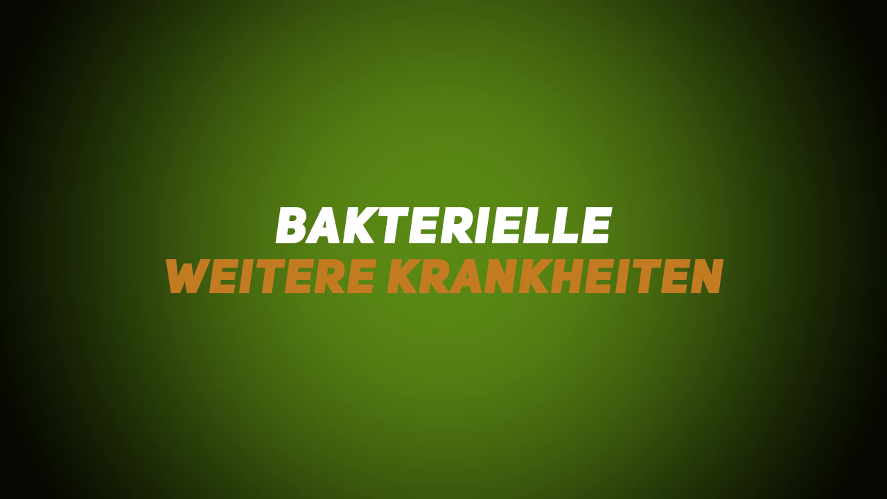 Wildkrankheiten & Wildbrethygiene – Weitere bakterielle Krankheiten