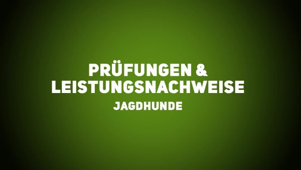 Jagdhunde - Prüfungen & Leistungsnachweise