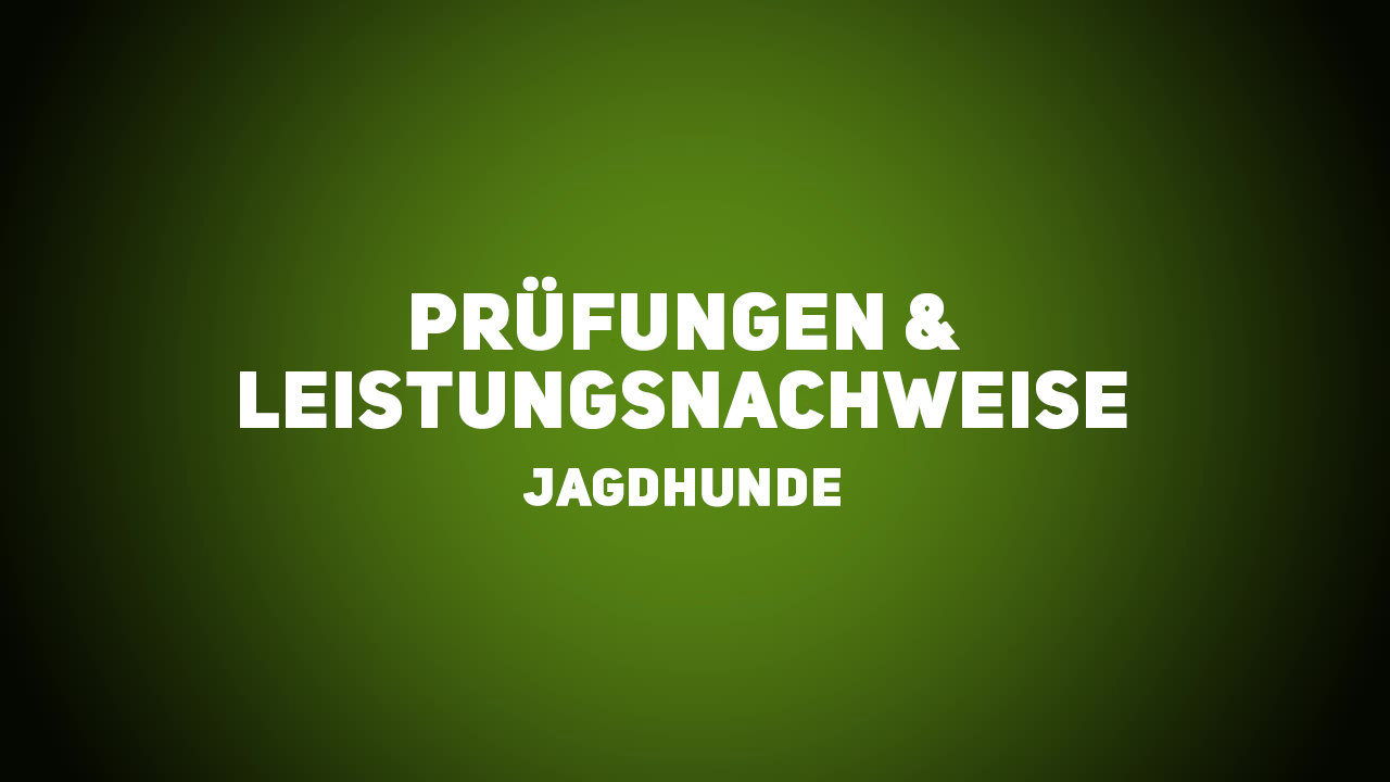 Jagdhunde – Prüfungen & Leistungsnachweise