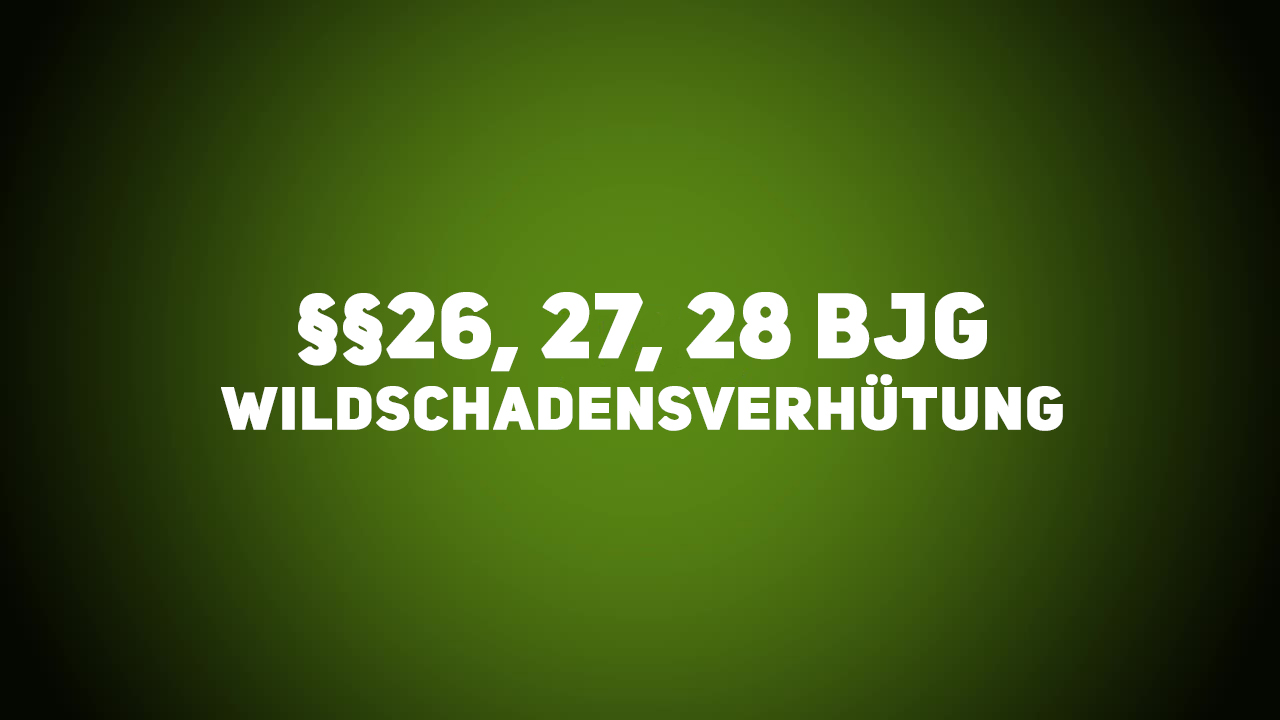 Jagdrecht – §§26, 27, 28 BJG – Wildschadensverhütung