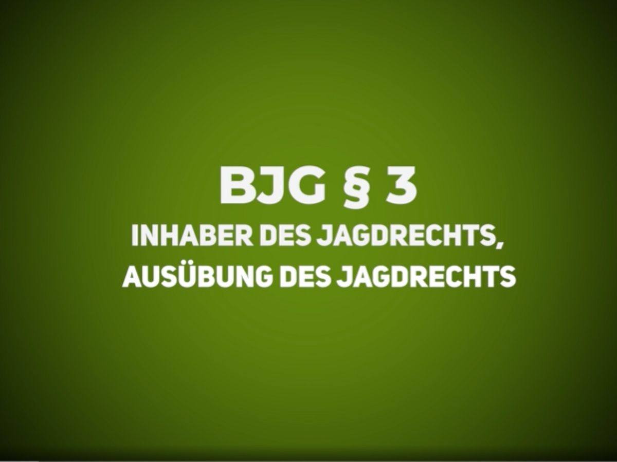 Jagdrecht – BJG §3 – Inhaber des Jagdrechts, Ausübung des Jagdrechts