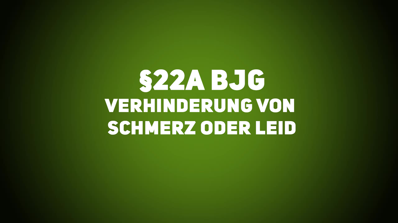 Jagdrecht – BJG §22a – Verhinderung von Schmerz oder Leid