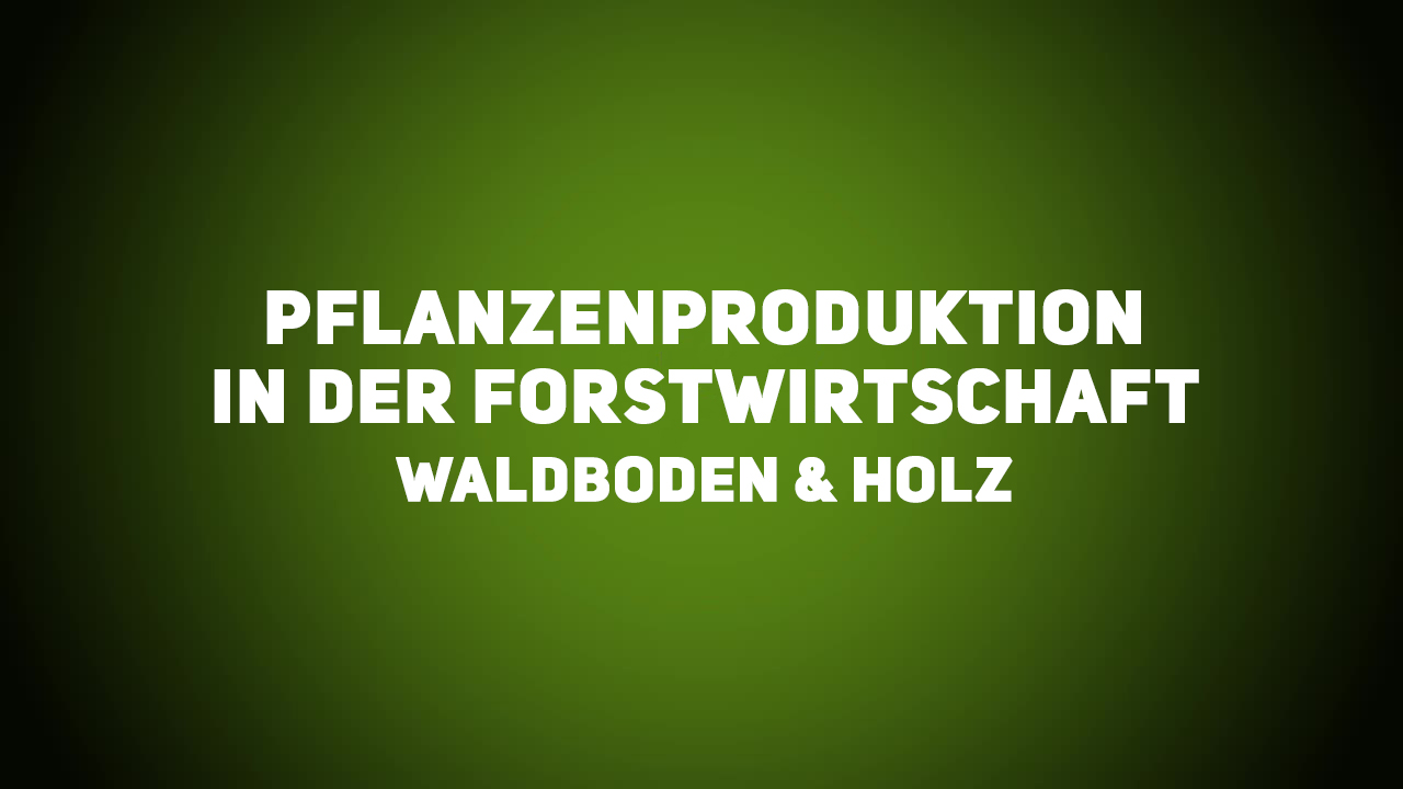 Wald- und Landbau – Pflanzenproduktion in der Forstwirtschaft – Waldboden & Holz