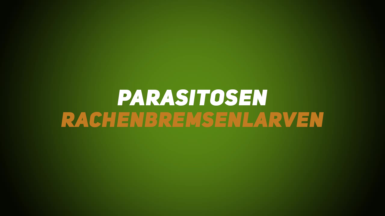 Wildkrankheiten & Wildbrethygiene – Parasitosen – Rachenbremsenlarven