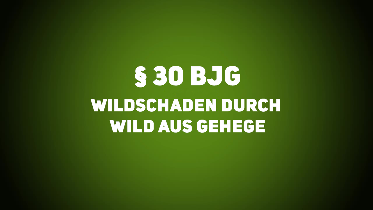 Jagdrecht – BJG §30 – Wildschaden durch Wild aus Gehege