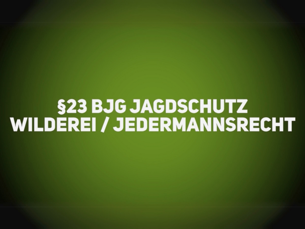 Jagdrecht – BJG §23 – Jagdschutz – Wilderei/Jedermannsrecht