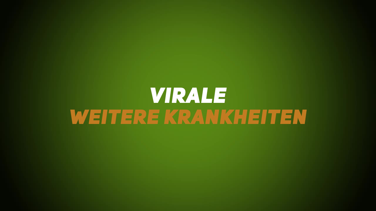 Wildkrankheiten & Wildbrethygiene – Weitere virale Krankheiten