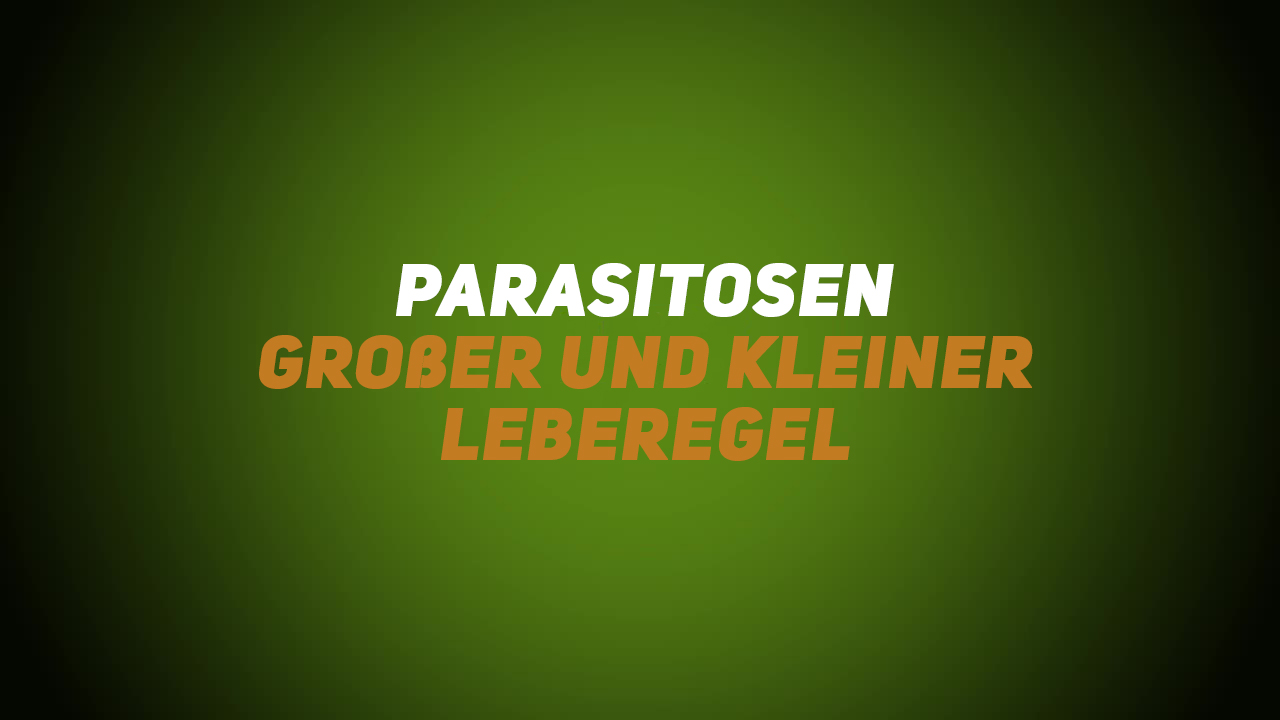 Wildkrankheiten & Wildbrethygiene – Parasitosen – Großer und kleiner Leberegel