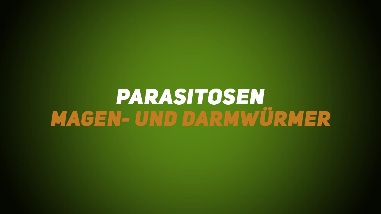 Wildkrankheiten & Wildbrethygiene – Parasitosen – Magen- und Darmwürmer