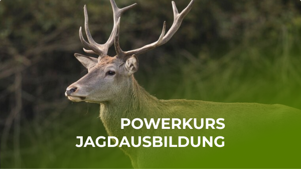 Powerkurs Jagdausbildung