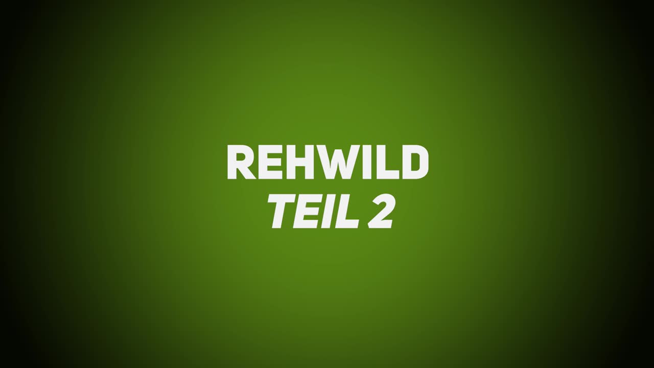 Haarwild – Rehwild 2