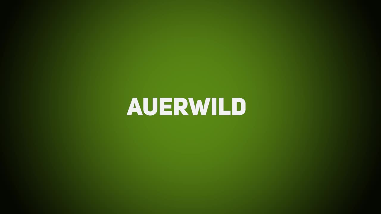 Federwild – Auerwild