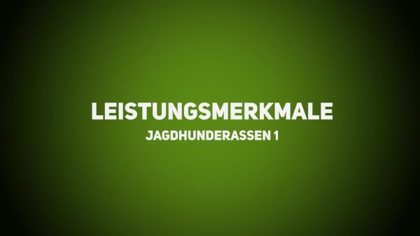 Jagdhunde - Leistungsmerkmale Jagdhunderassen – Teil 1