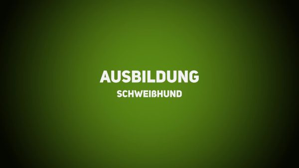 Jagdhunde - Ausbildung Schweißhunde