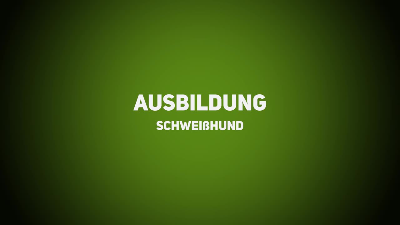 Jagdhunde – Ausbildung Schweißhunde