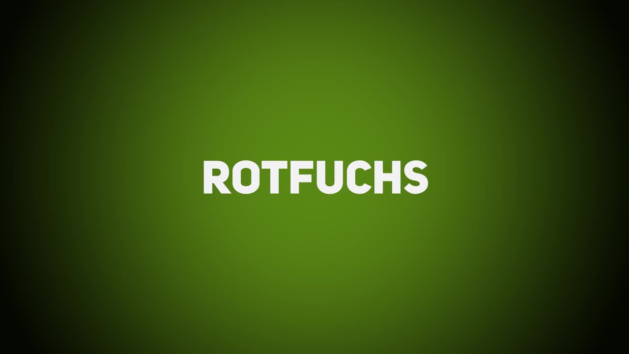 Haarwild – Rotfuchs