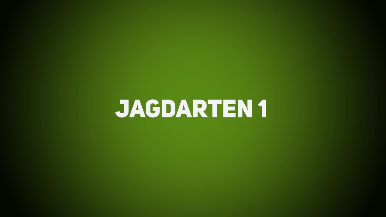 Jagdliche Praxis – Jagdarten 1