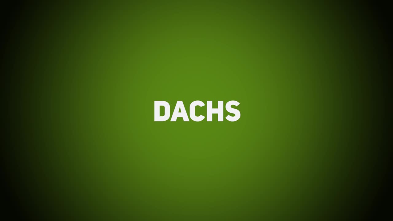 Haarwild – Dachs