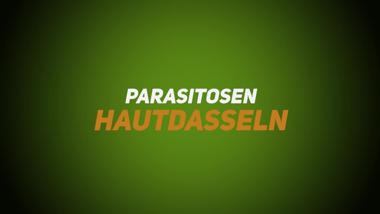 Wildkrankheiten & Wildbrethygiene – Parasitosen – Hautdasseln