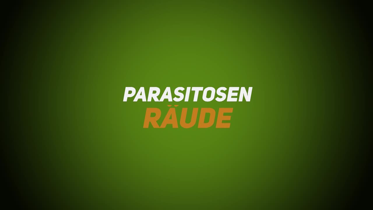 Wildkrankheiten & Wildbrethygiene – Parasitosen – Räude