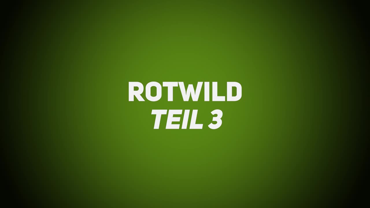 Haarwild – Rotwild 3