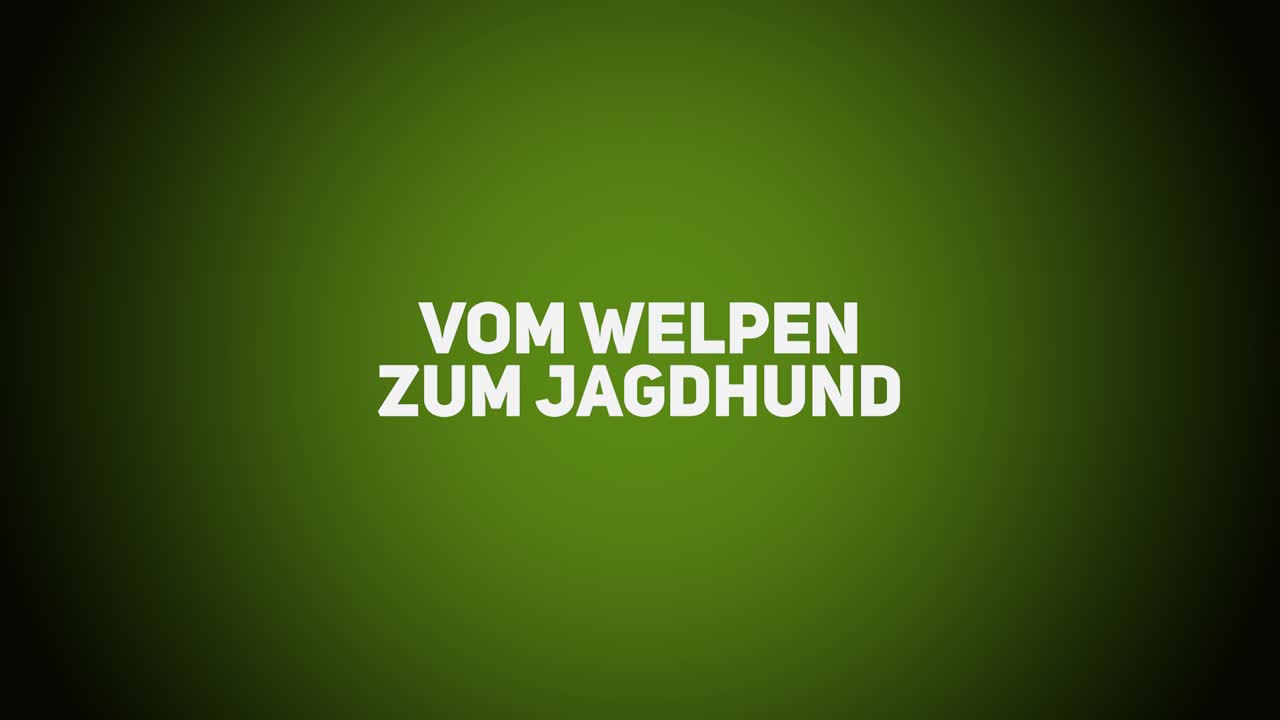 Jagdhunde – Vom Welpen zum Jagdhund