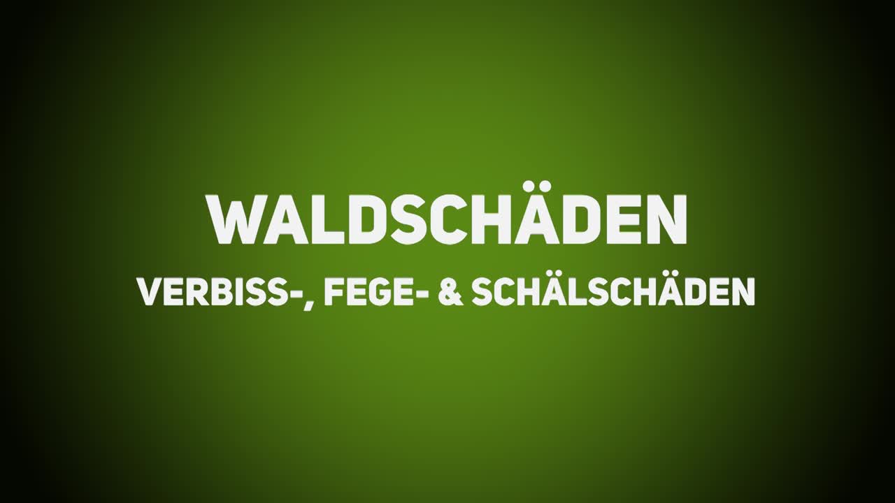 Wald- und Landbau – Waldschäden durch Wild – Verbiss-,Fege- & Schälschäden