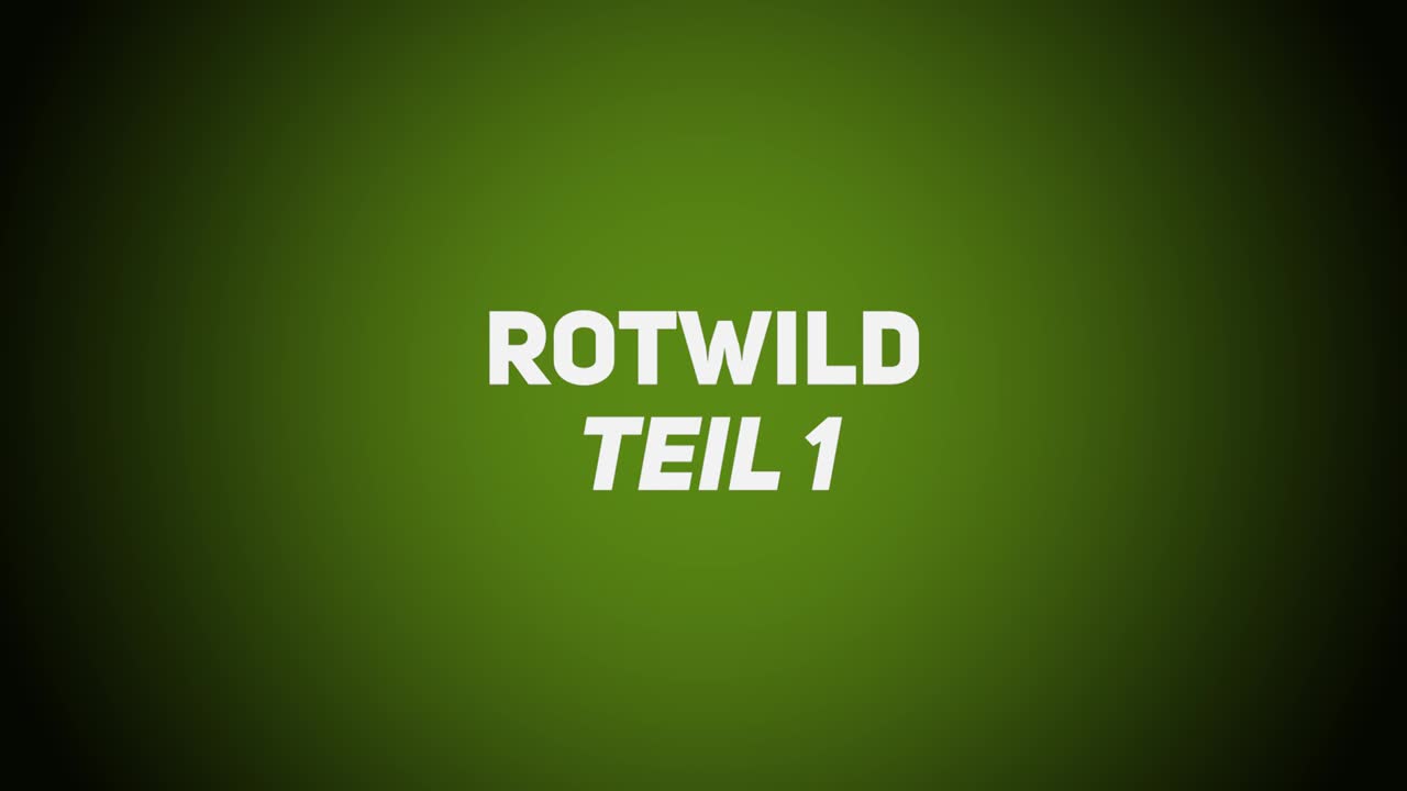 Haarwild – Rotwild 1