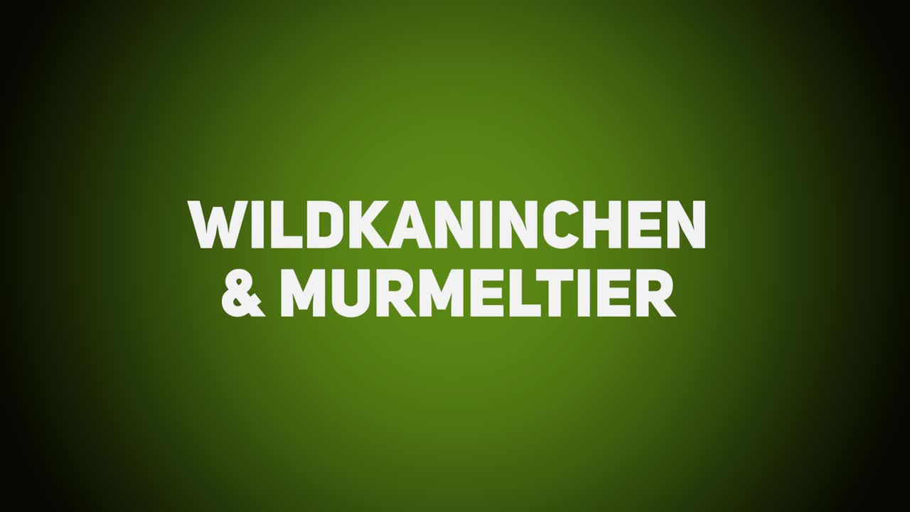 Haarwild – Wildkaninchen & Murmeltier