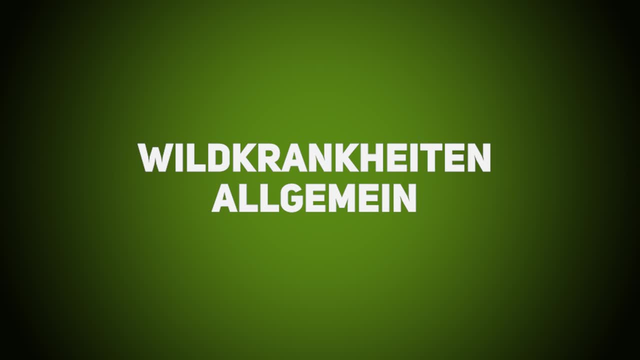 Wildkrankheiten & Wildbrethygiene – Allgemein