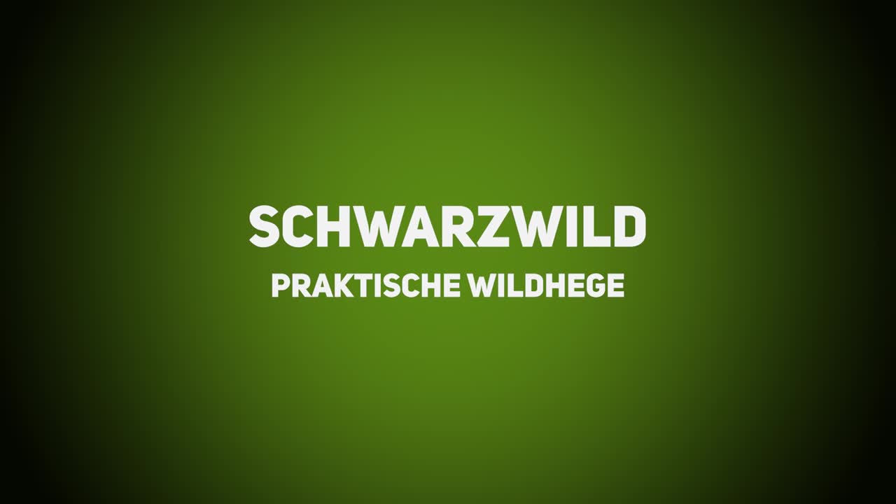 Wildhege – Praktische Wildhege – Schwarzwild