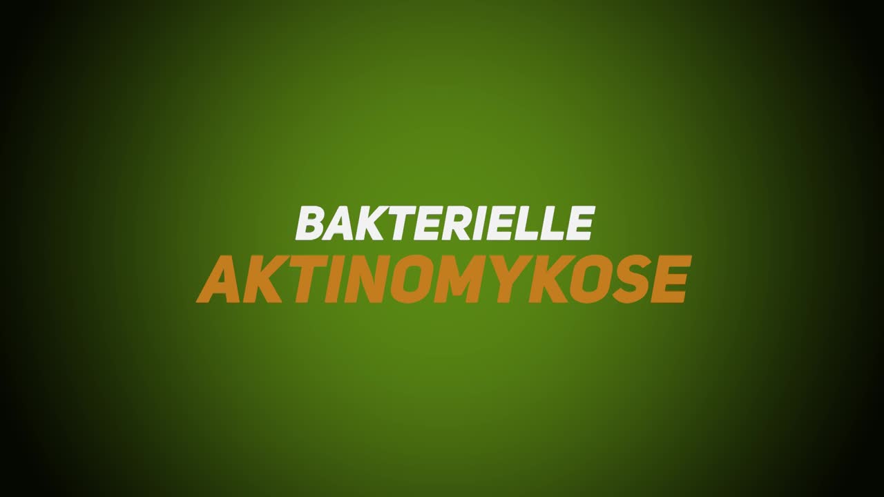 Wildkrankheiten & Wildbrethygiene – Bakteriell – Aktinomykose