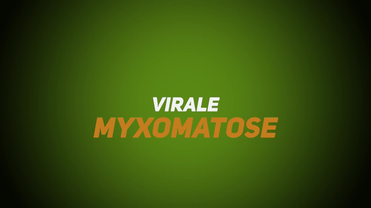 Wildkrankheiten & Wildbrethygiene – Viral – Myxomatose