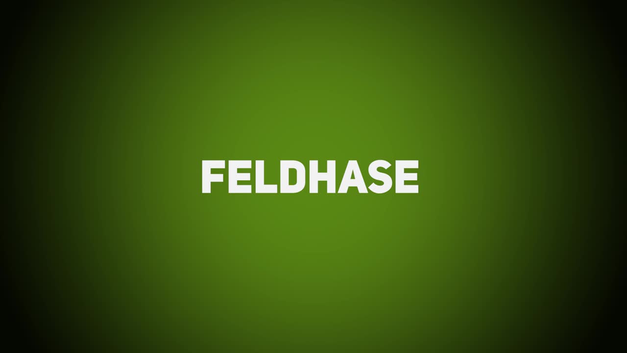 Haarwild – Feldhase