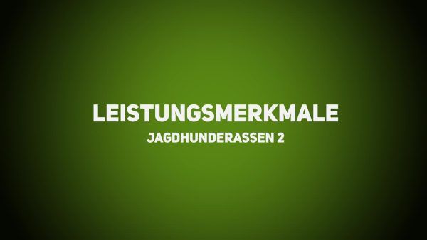 Jagdhunde - Leistungsmerkmale Jagdhunderassen – Teil 2