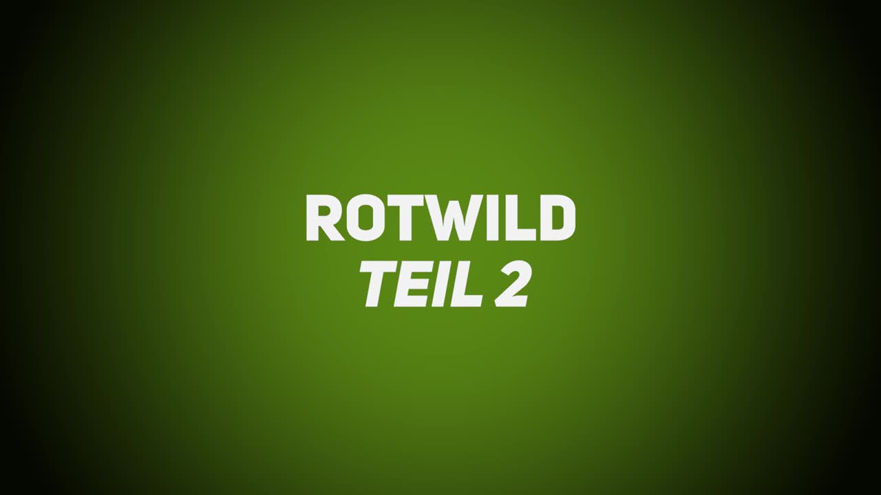 Haarwild – Rotwild 2