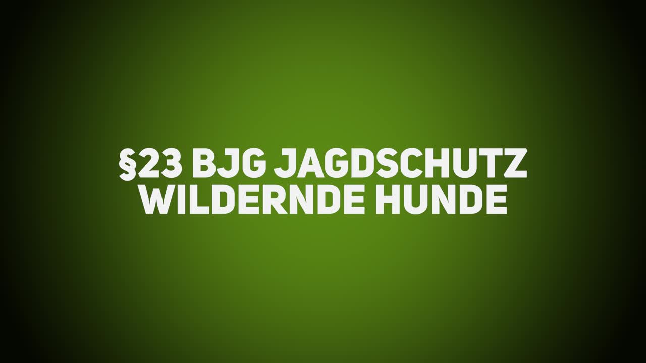 Jagdrecht – BJG §23 – Jagdschutz – Wildernde Hunde