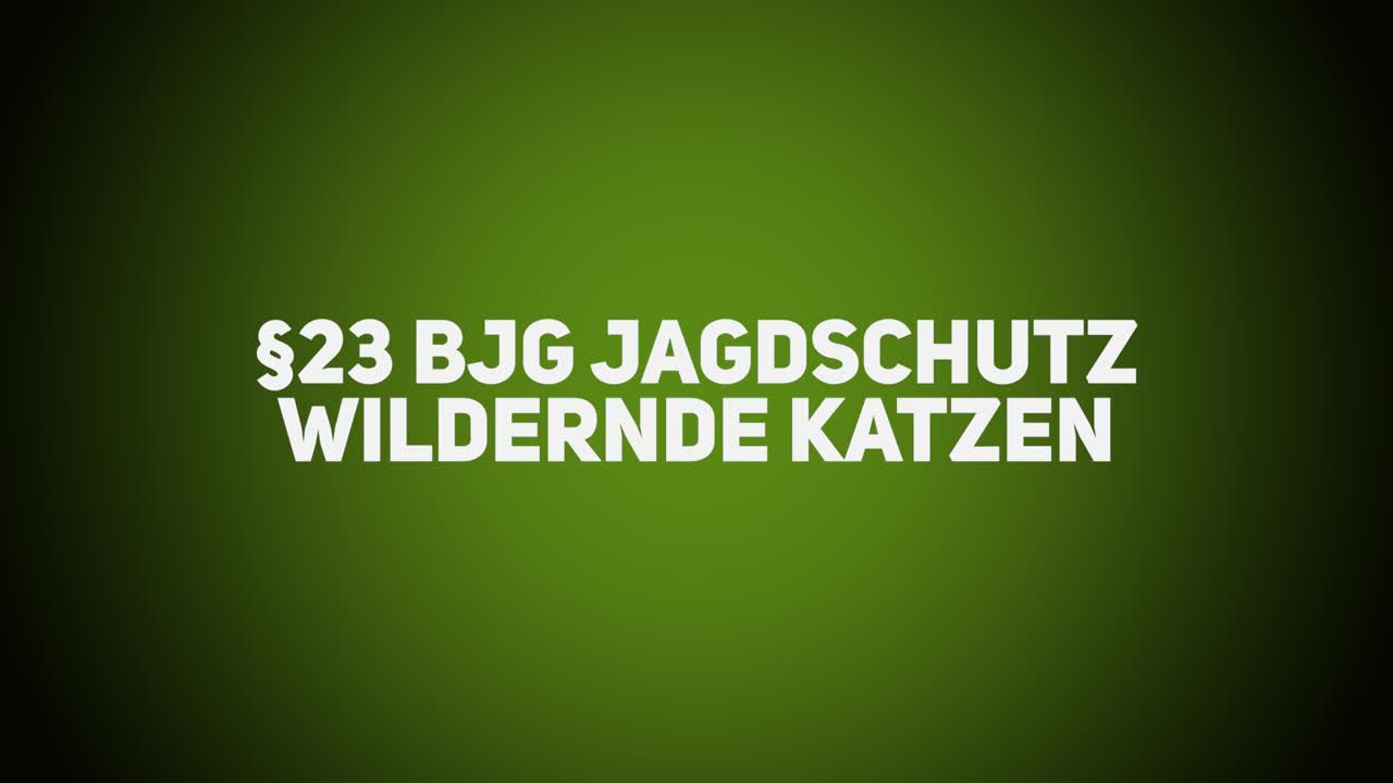 Jagdrecht – BJG §23 – Jagdschutz – Wildernde Katzen