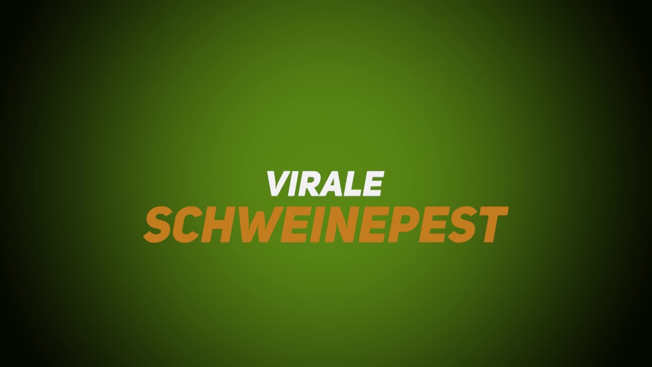 Wildkrankheiten & Wildbrethygiene – Viral – Schweinepest