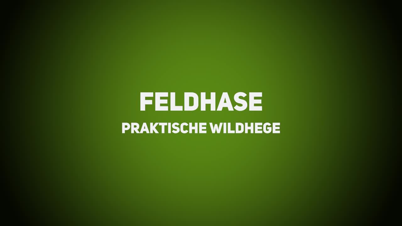 Wildhege – Praktische Wildhege – Feldhase