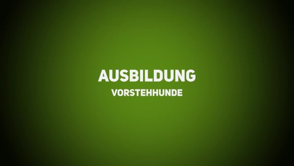 Jagdhunde - Ausbildung Vorstehhunde