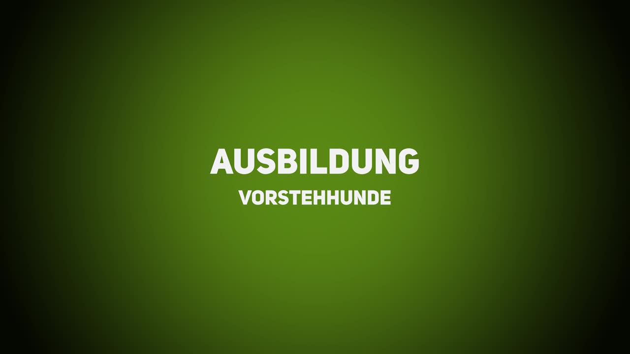 Jagdhunde – Ausbildung Vorstehhunde