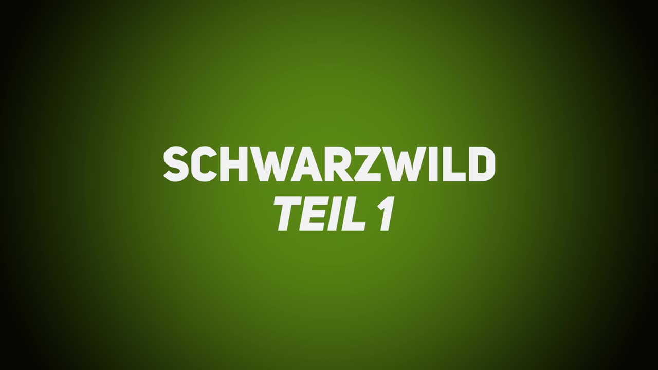 Haarwild – Schwarzwild 1