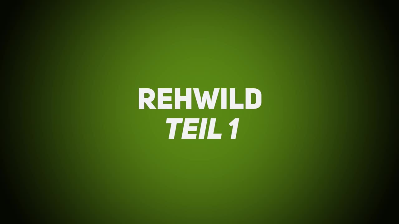 Haarwild – Rehwild 1