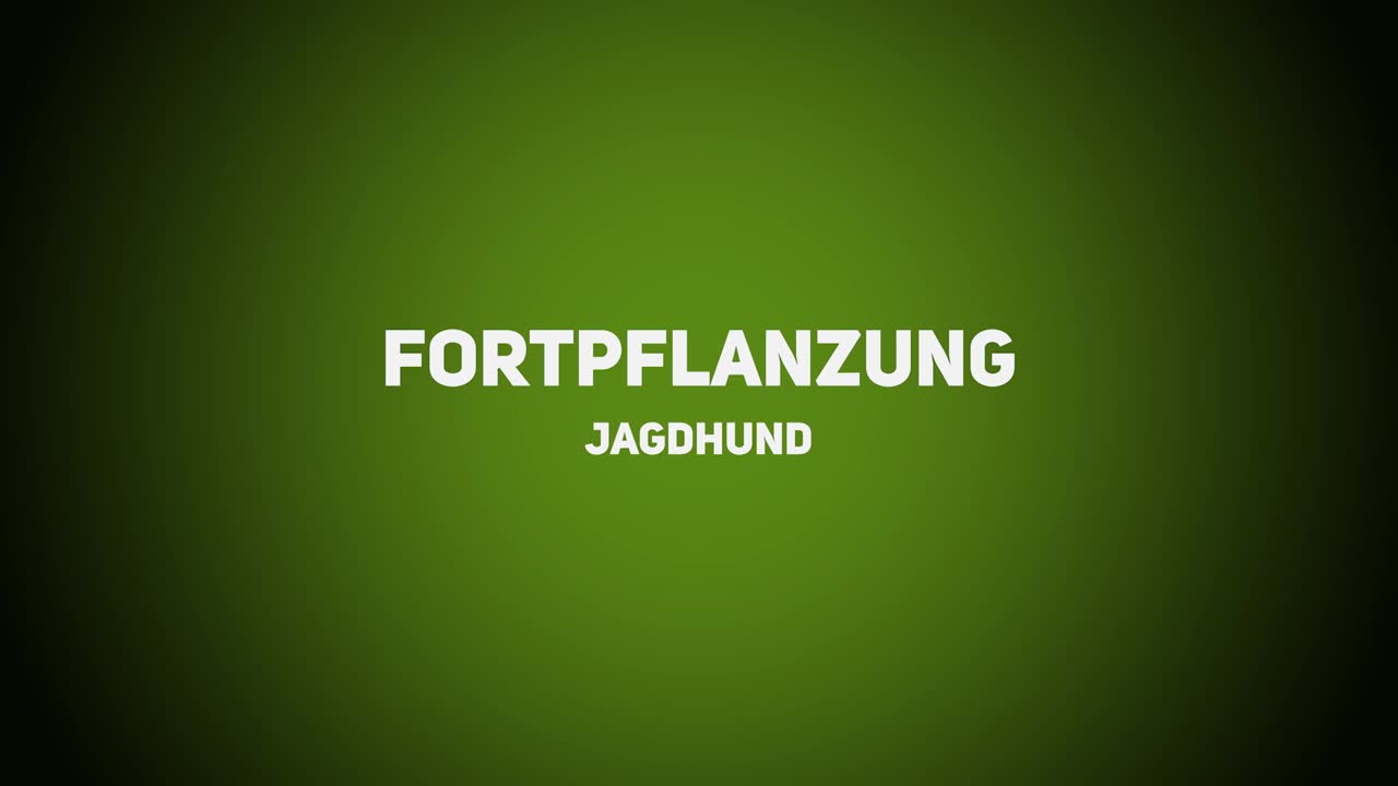 Jagdhunde – Fortpflanzung