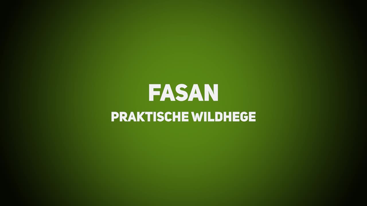 Wildhege – Praktische Wildhege – Fasan