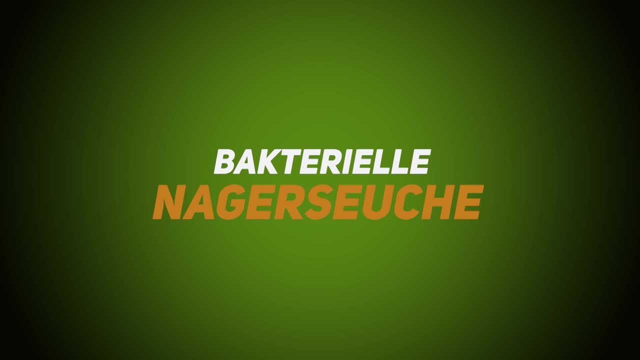 Wildkrankheiten & Wildbrethygiene – Bakteriell – Nagerseuche